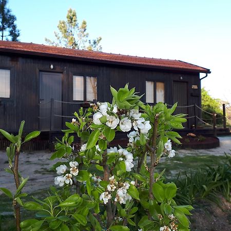 Villa Casinha Do Cedro Baião Exterior foto