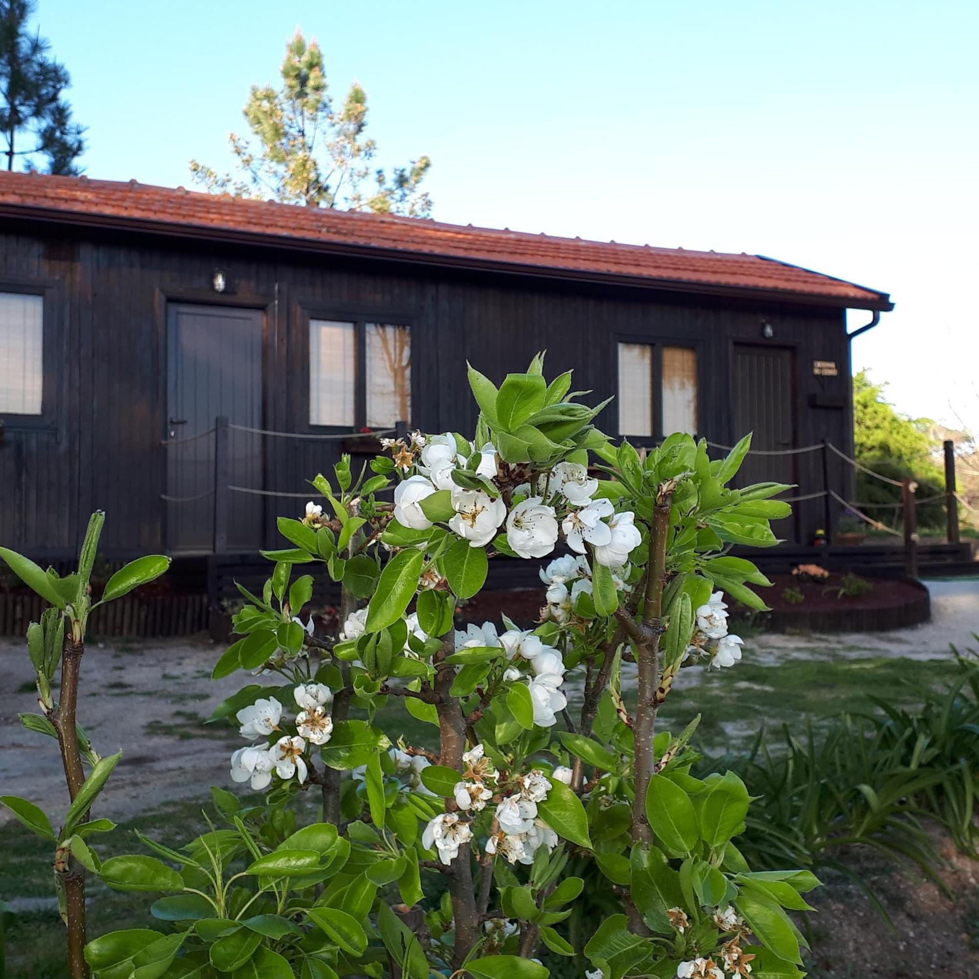 Villa Casinha Do Cedro Baião Exterior foto
